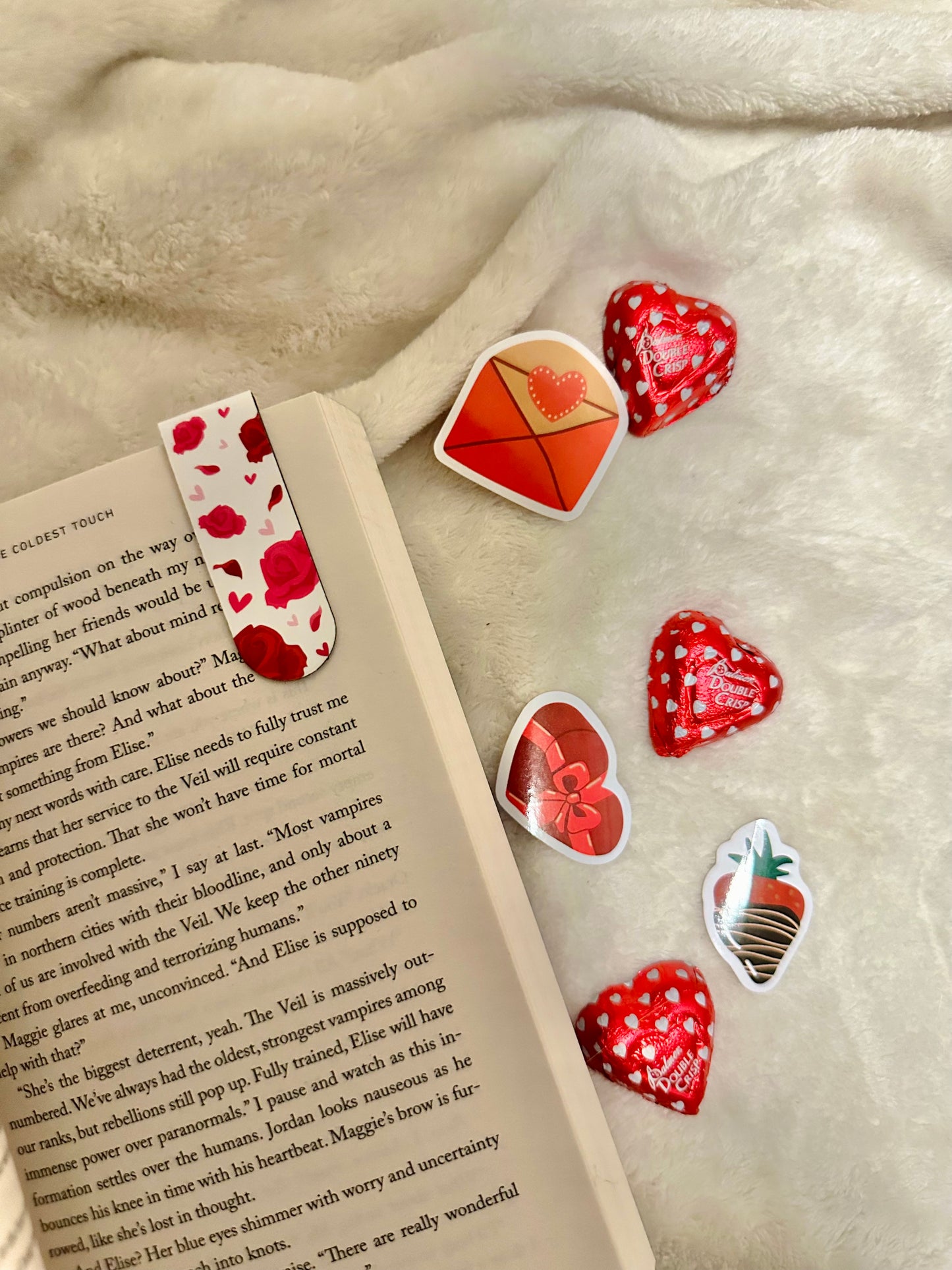 Valentine's Blind Date With a Book